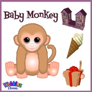 Baby Monkey