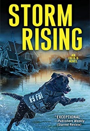 Storm Rising (Sara Driscoll)