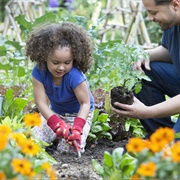 Help an Elderly Neighbour Clean Up Their Garden