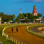 Garrison Racetrack & George Washington House, Barbados