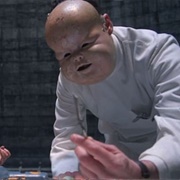 Jack Lint (Brazil, 1985)