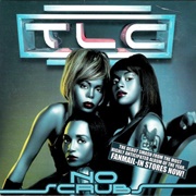 "No Scrubs" - TLC