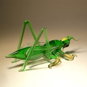 Glass Cricket