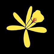 Vanillin/Vanilla Flavouring