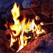 Toasting Marshmallows by a Bonfire