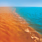 Yellow River Meets Bohai Sea