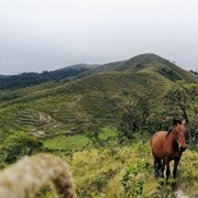 Santa Cruz Province, Peru