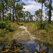 Atlantic Ridge Preserve State Park