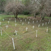 Arthur G. Dozier School for Boys