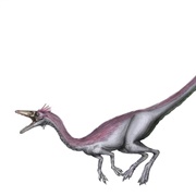Nqwebasaurus