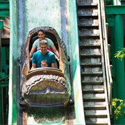 Shenandoah Lumber Company