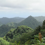 Edmund Forest Reserve, St. Lucia