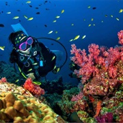 Scuba Dive, Cozumel, Mexico