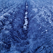 Bondage - Anima Terra