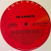 "Here Comes the Hotstepper" - Ini Kamoze