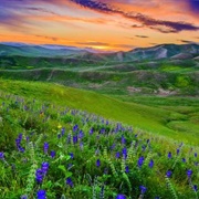 Dublin Hills Regional Open Space Preserve