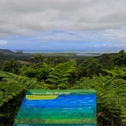 Mount Alexandra Lookout