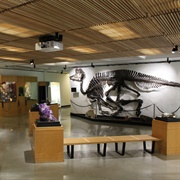 Pacific Museum of Earth (UBC), Vancouver, BC, Canada