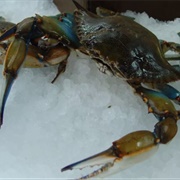 Maryland: "Jimmy and Sally"