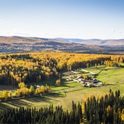 Large Animal Research Station