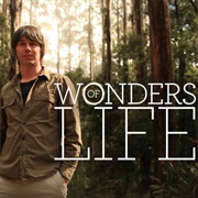 Wonders of Life