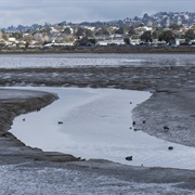 Albany State Marine Reserve
