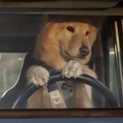 Molly (John Dies at the End, 2012)