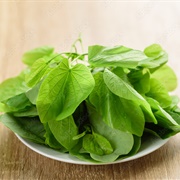 Orchid Tree (Bauhinia Purpurea)