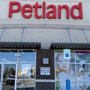 Petland