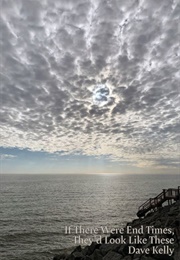 If There Were End Times, They'd Look Like These (Dave Kelly)