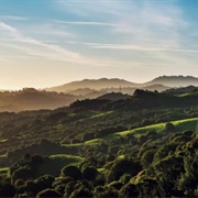Tilden Regional Park