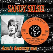 Sandy Selsie