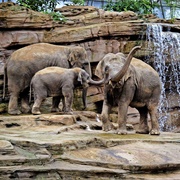 Wildlands Adventure Zoo Emmen, Netherlands