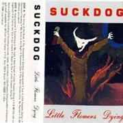 SUCKDOG - Little Flowers Dying