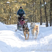 Dogsledding in Prince Albert National Park
