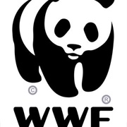 WWF