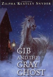 Gib and the Gray Ghost (Zilpha Keatley Snyder)