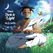 NLE Choppa - From Dark to Light