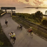 Withlacoochee Bay Trail