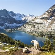 Glacier National Park