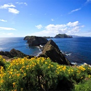 Anacapa Island (Channel Islands NP)