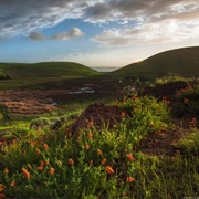 Coyote Hills Regional Park
