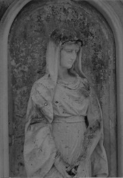 Patho Film, Wolfelsgrund (2022)