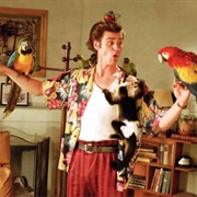 Ace Ventura - "Ace Ventura: Pet Detective" (1994) and "Ace Ventura: When Nature Calls" (1995)