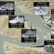 The Severed Feet Mystery