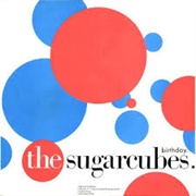 Cat - The Sugarcubes