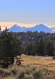 O.B. Riley Interview (Kessler Cannon)