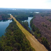 Bloomingdale, Georgia