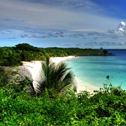 Isla Iguana Wildlife Refuge, Panama