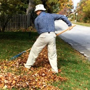 Rake Leaves